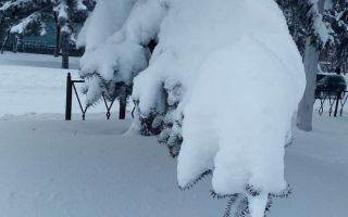 Биробиджан в снегу